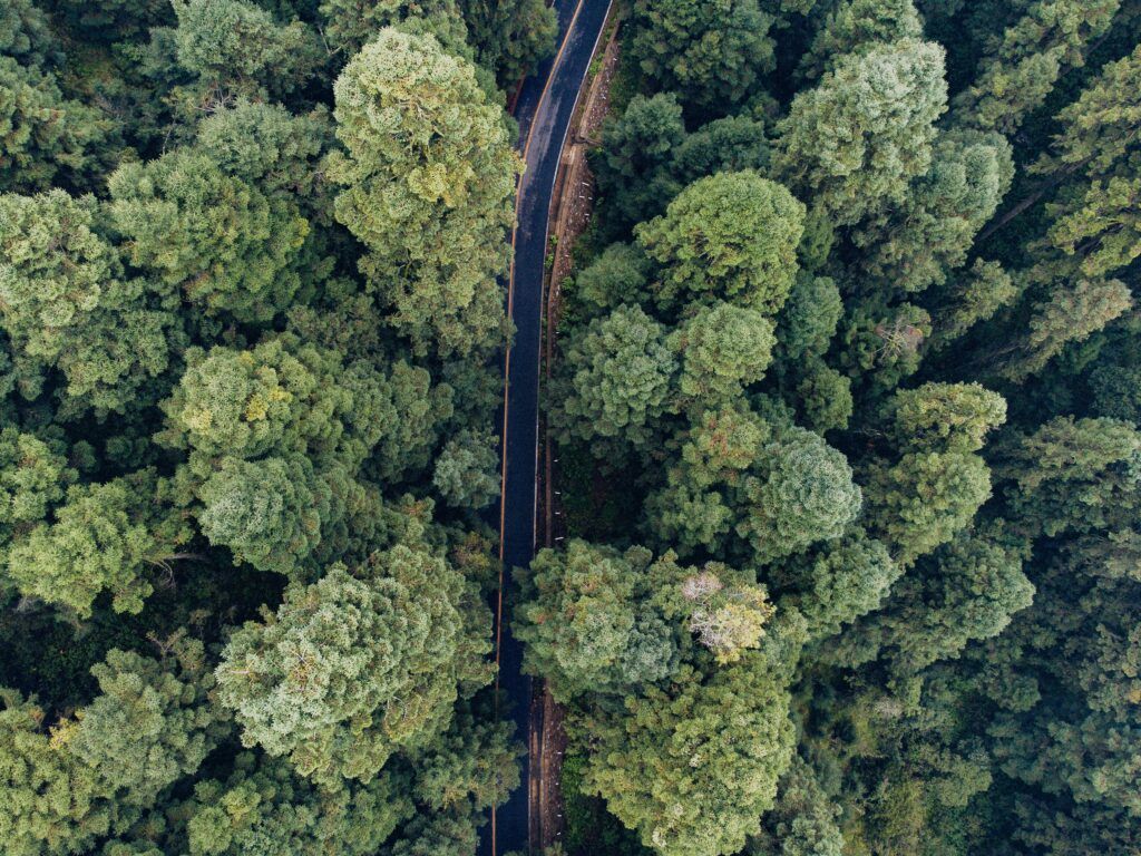 pexels-alexwolfmx-14541420